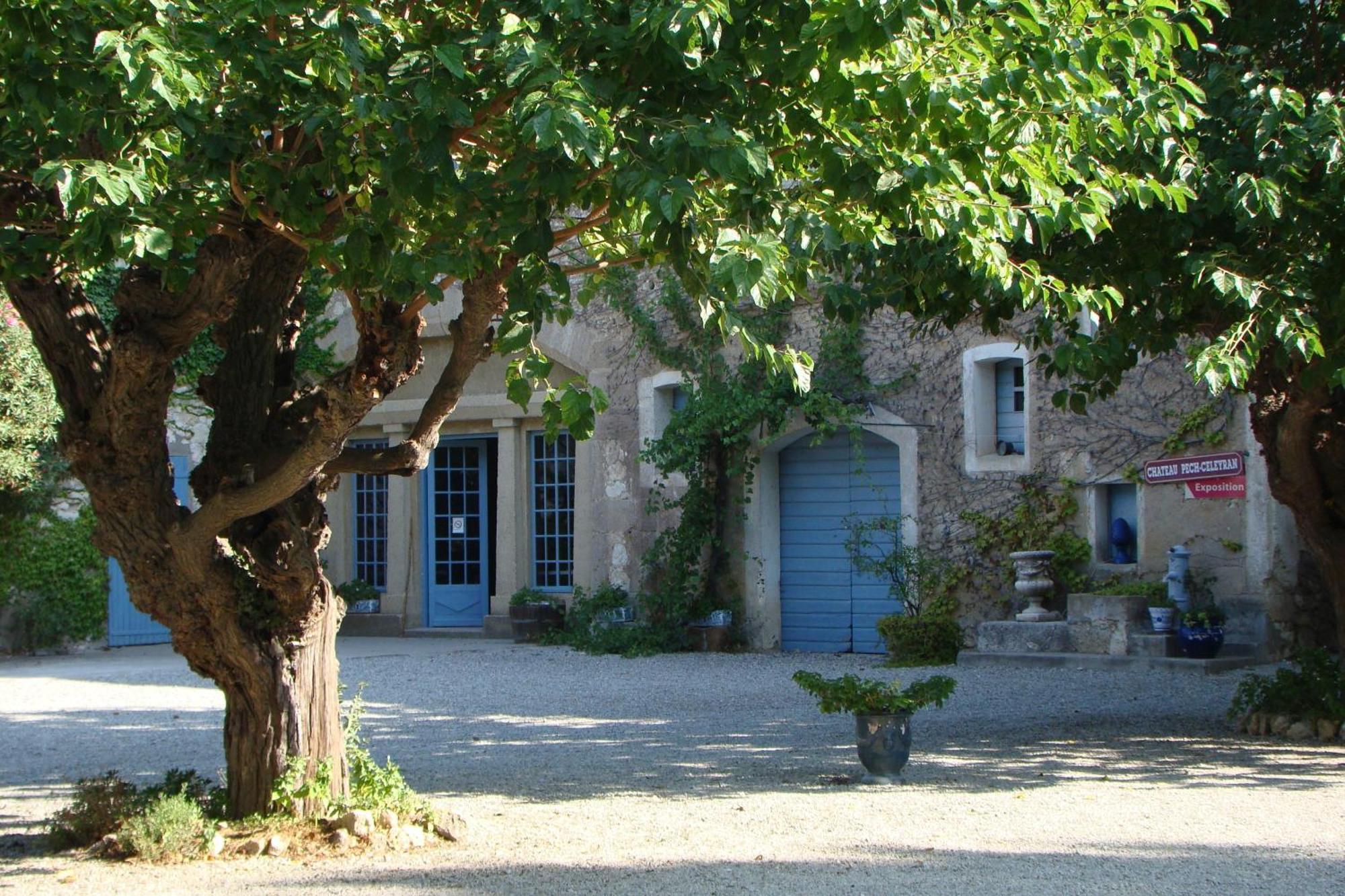Chateau Pech-Celeyran Salles-d'Aude Exterior photo