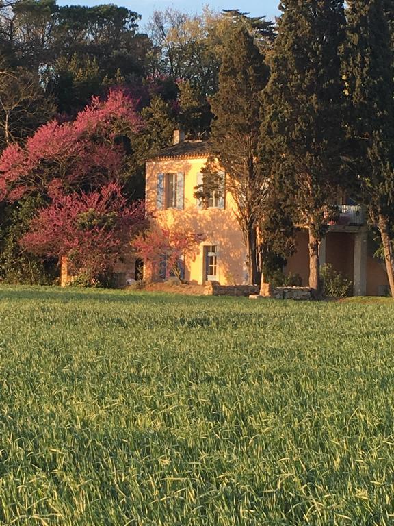 Chateau Pech-Celeyran Salles-d'Aude Exterior photo